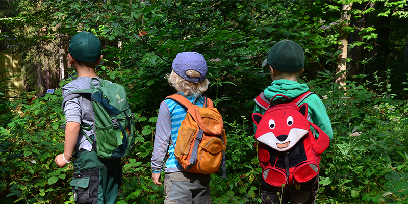 Waldkindergarten Wurzelkinder e.V.